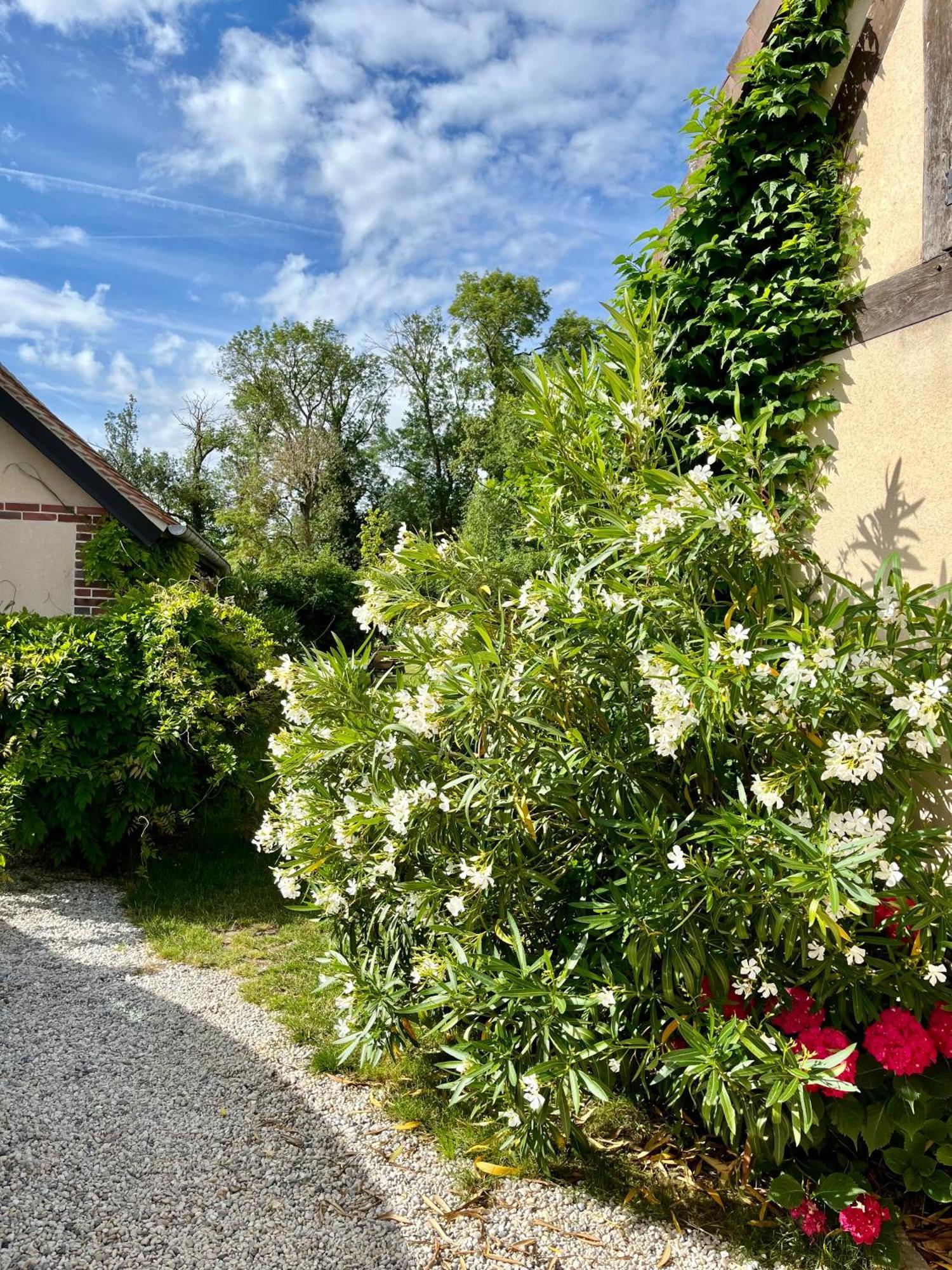 Ferienwohnung Cote Riviere Ezy-sur-Eure Exterior foto